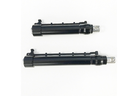 CYP1113