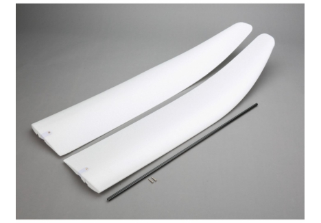 E-flite Radian BNF Basic Wing with Spar RC Electric Glider Z-EFL4702