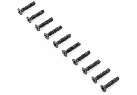 Flat Head Screws M4x20mm (10)