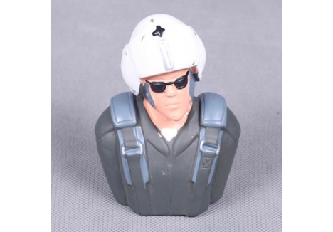 FMS-PILOT-007