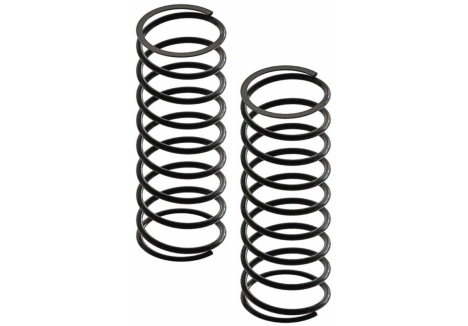 Front Shock Spring (2): 4x4