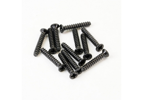 FTX Havok Flathead Self Tapping Screws 2 x 12mm Pack of 12 FTX10648