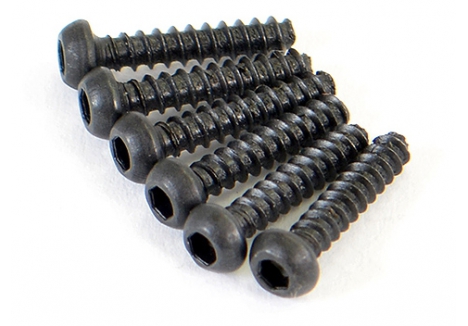 FTX Round Head Self Tapping Hex Screw 6pcs 2x10 Spare Parts FTX6519