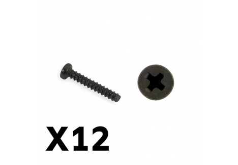 FTX Tracer Pan Head Self Tapping Screws 2x12mm FTX9755