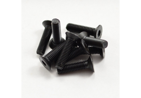 HoBao M3X12MM Hex Socket Countersunk Screws Machine Thread H31312