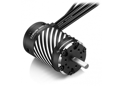Hobbywing EZRUN 5690SD G2 1250KV Brushless Motor 1/5 1/6 HW30402350