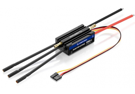 Hobbywing SeaKing 120A V4 Brushless Waterproof ESC RC Boat HW30302363