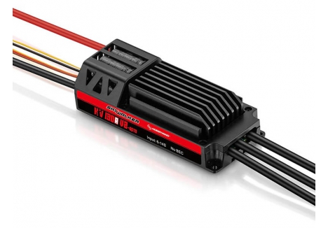 Hobbywing Skywalker 130A 14S Brushless ESC for RC Aircraft HW30222300