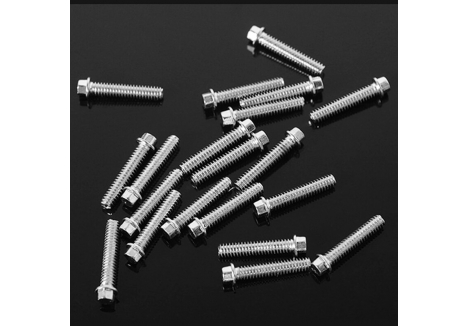 RC4WD MINIATURE SCALE HEX BOLTS (M2 X 10MM) (SILVER) Z-S0622