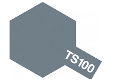 Tamiya TS-100 SG Bright Gun Metal Spray Paint 100ml TAM85100